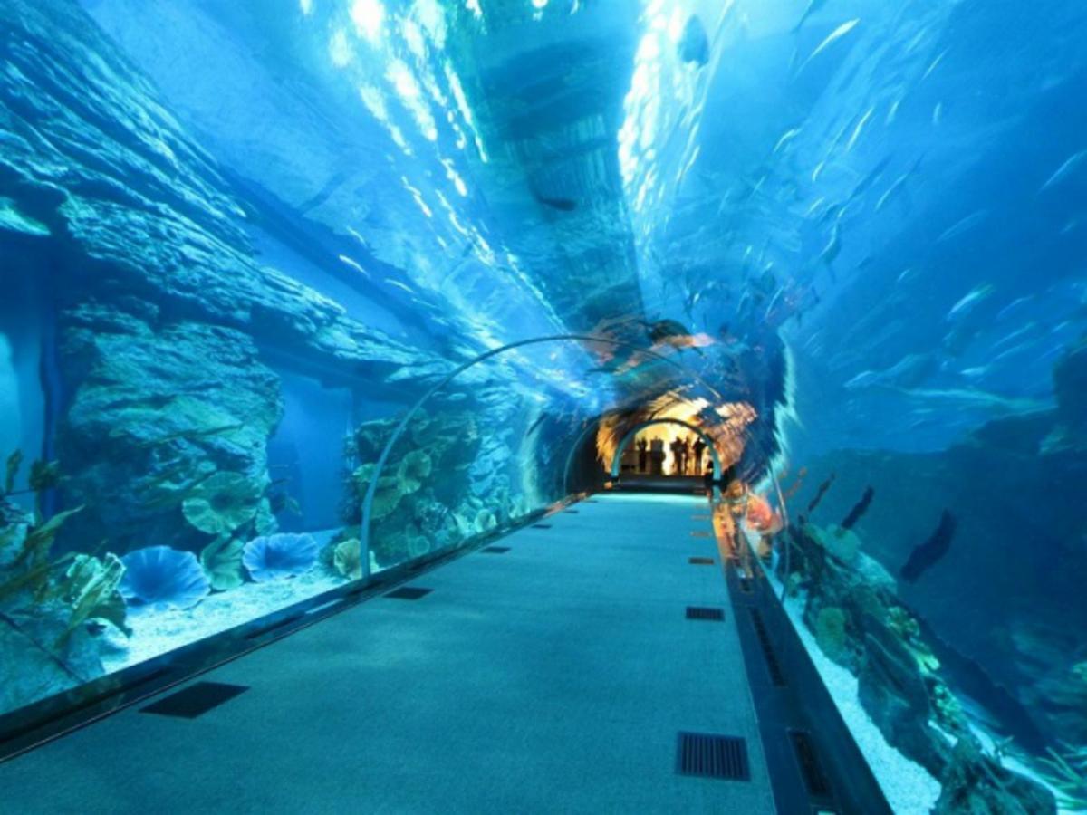Hotel Bologna Римини Экстерьер фото